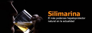 silimarina-690X250