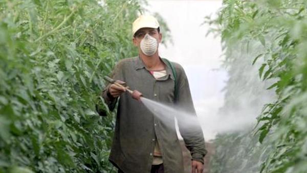 Pesticides Spain