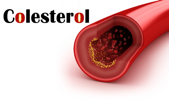 colesterol-malo